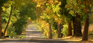An autumn picture of a street in Armstrong