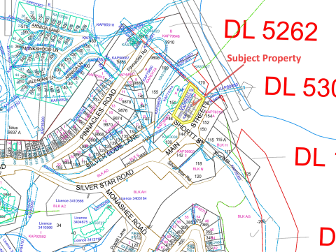 Subject Property Map - 148 Silver Lode Lane